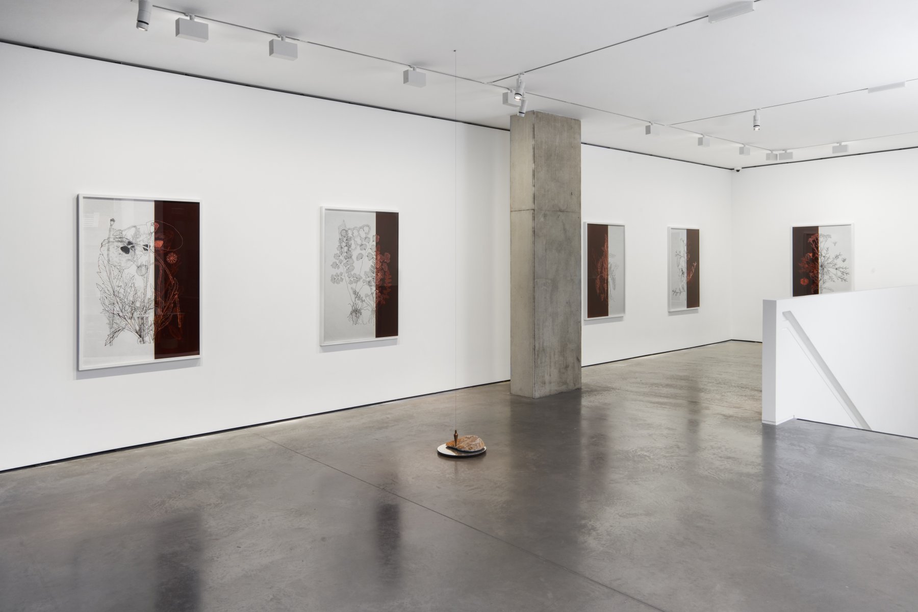Image for Dor Guez: Knowing the Land, at Goodman Gallery