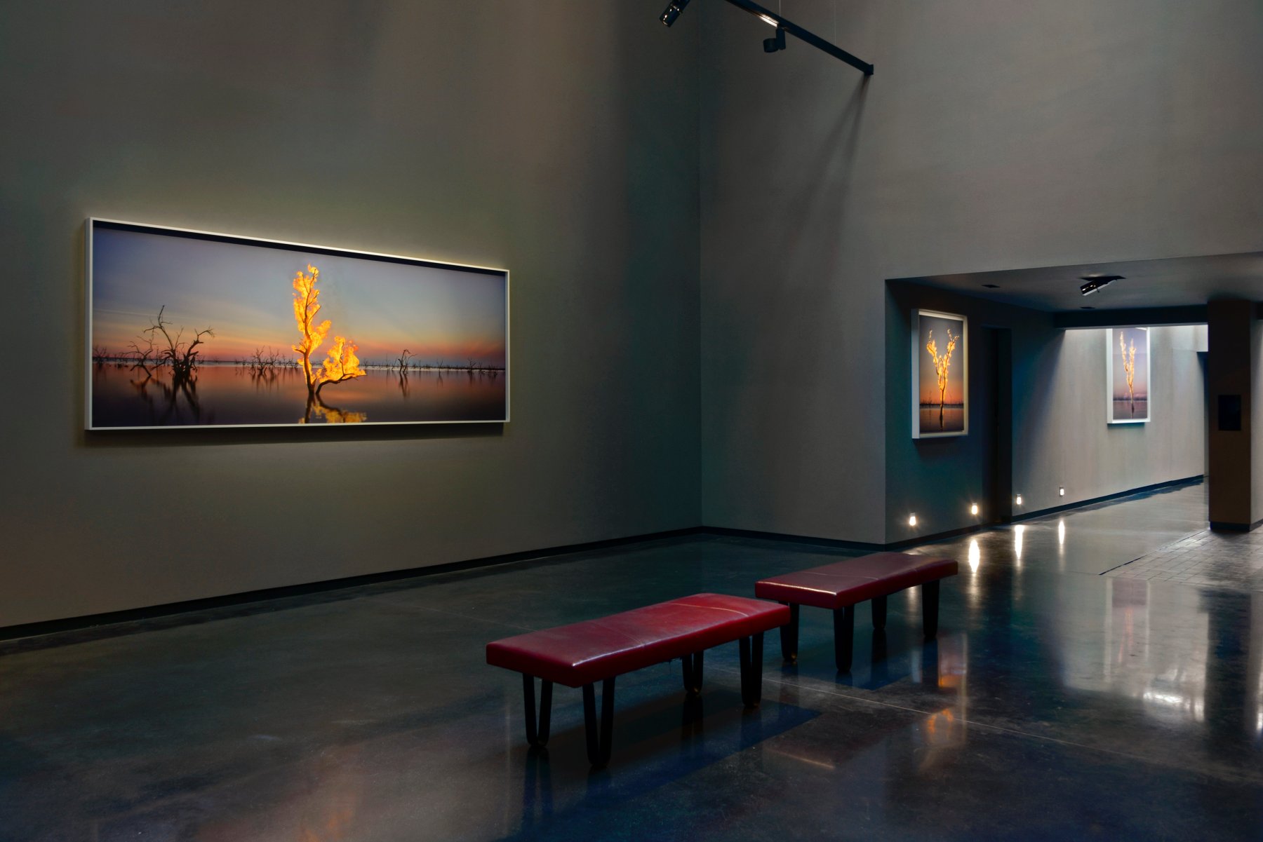 Image for Murray Fredericks: BLAZE, at Hamiltons