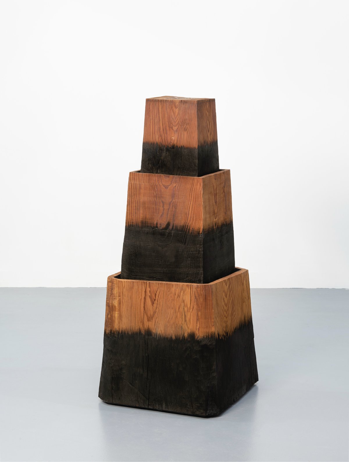 David Nash, Castle, 2018