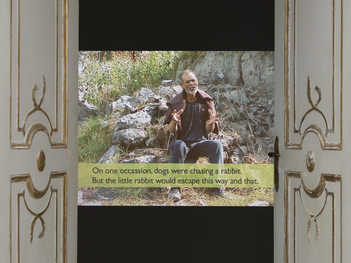Maria Thereza Alves, Maria Thereza Alves, Maria Thereza Alves & Maria Thereza Alves, The One That Got Away, 2015