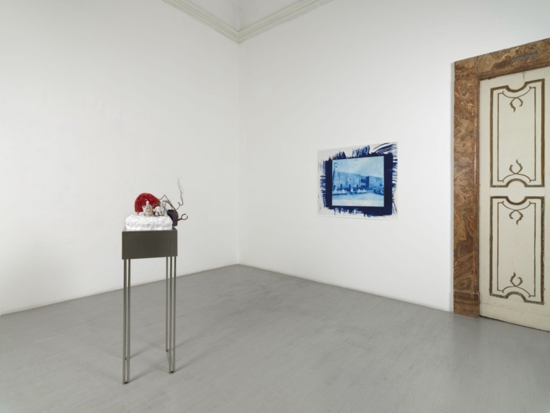 Image for Maria Thereza Alves: An Accounting, at Alfonso Artiaco