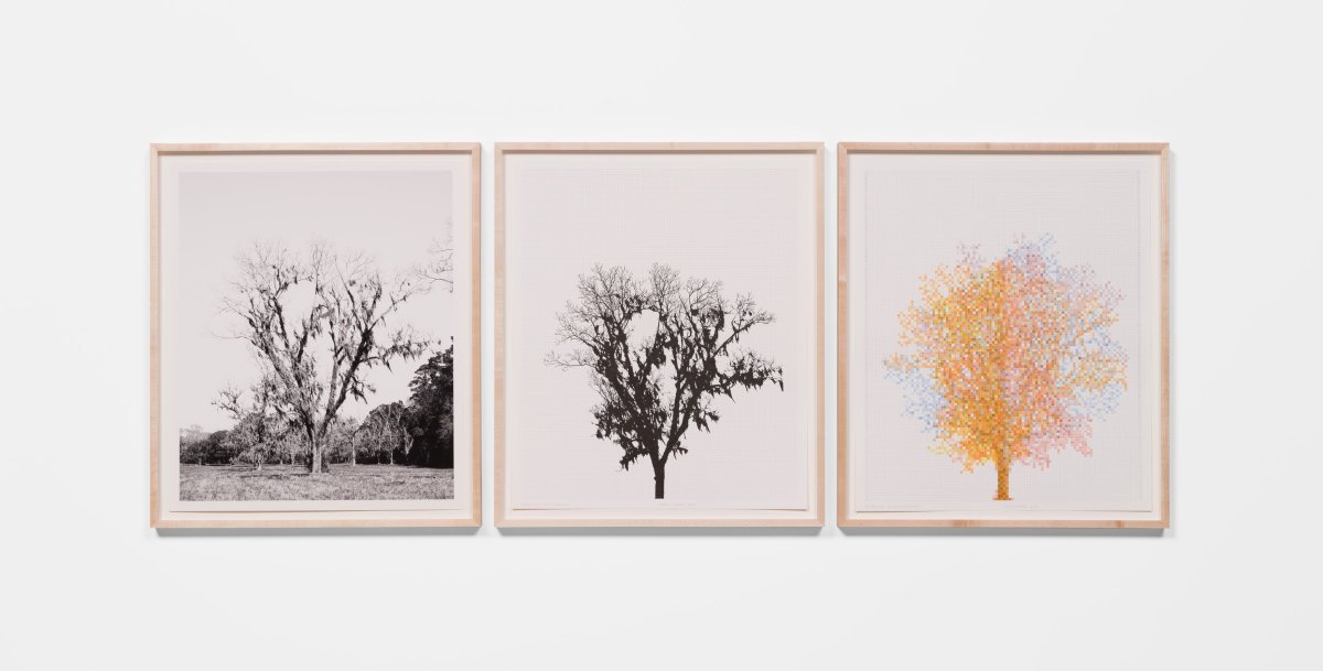 Charles Gaines, Pecan Trees: Set 5, 2022