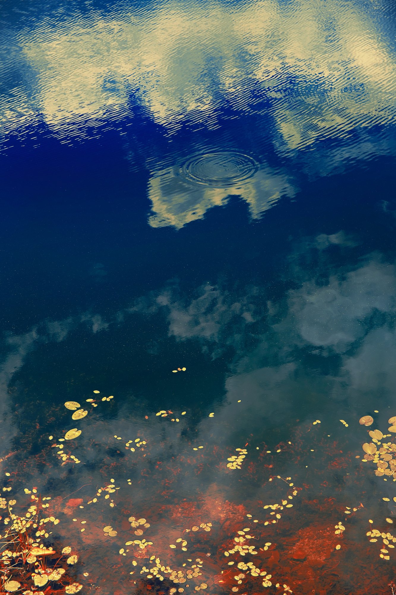 Erik Madigan Heck, Clouds in Pond, 2019