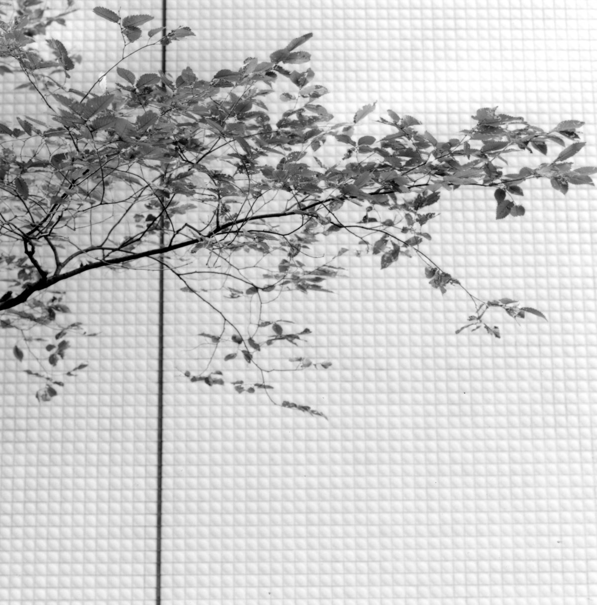 Frauke Eigen, Nishidai, Japan, 2006