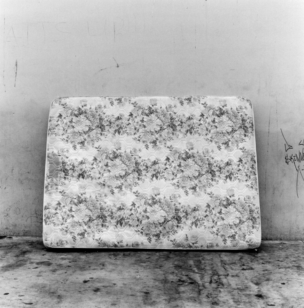 Frauke Eigen, Item Nr. 10026, Los Angeles, 2005