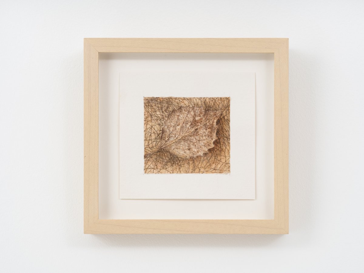 Ellen Altfest, Leaf, 2021