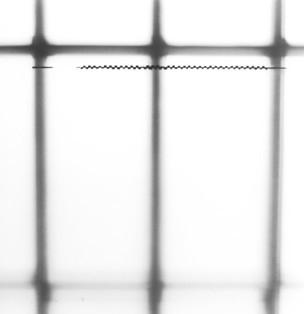 Frauke Eigen, Jippâ, Japan, 2008