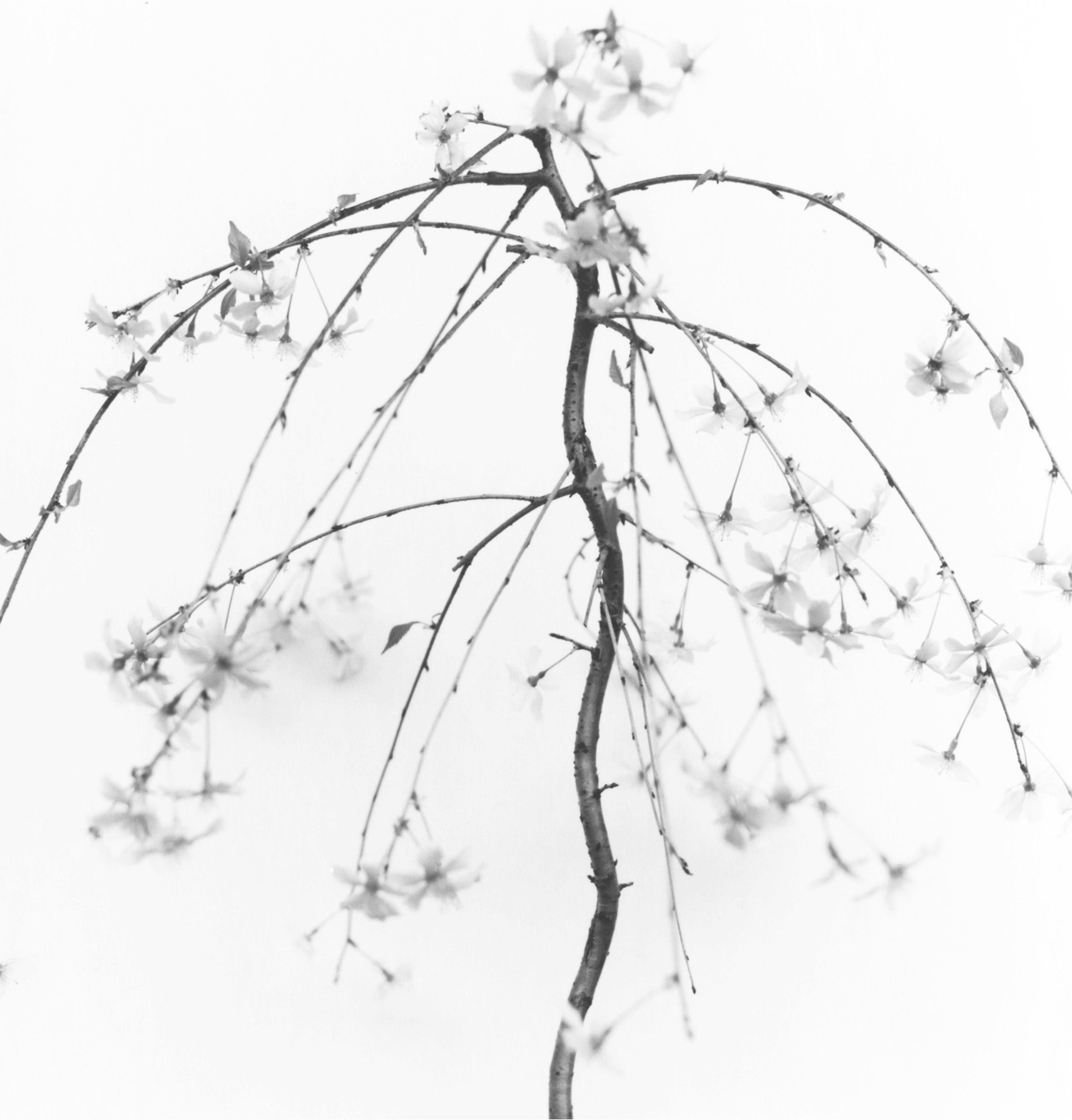 Image for Frauke Eigen: Photographs 2000-2023, at ATLAS Gallery