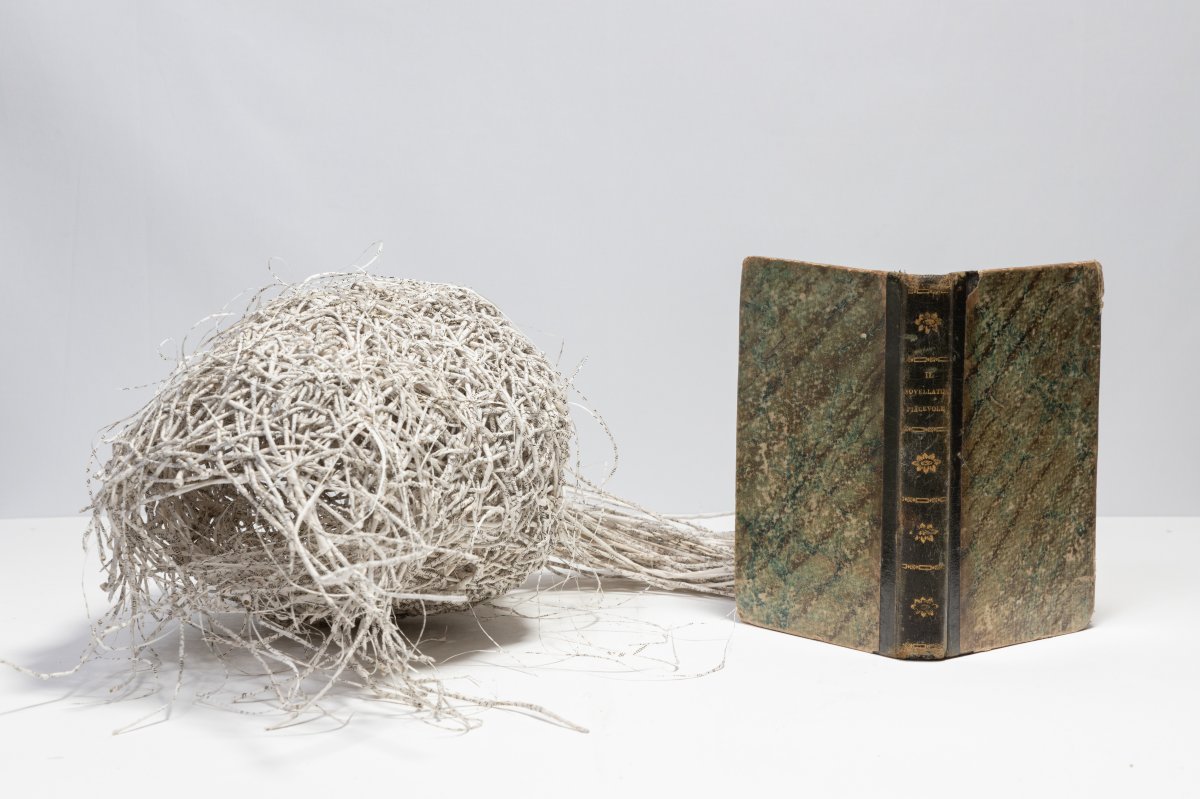 Jukhee Kwon, Escape, 2022