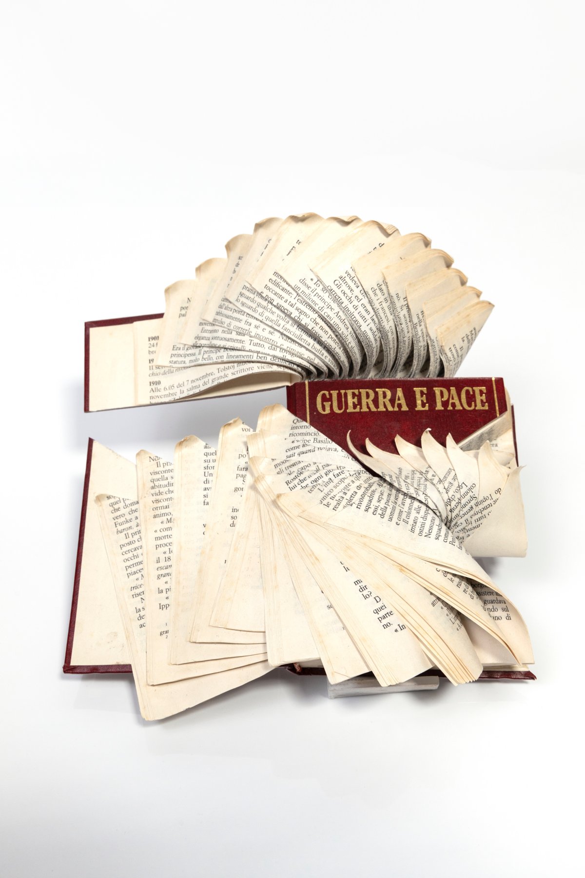 Jukhee Kwon, Guerra e pace, 2020