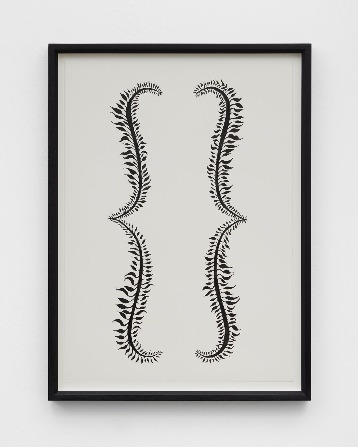 Donald Urquhart, Botanical Parentheses, 2023