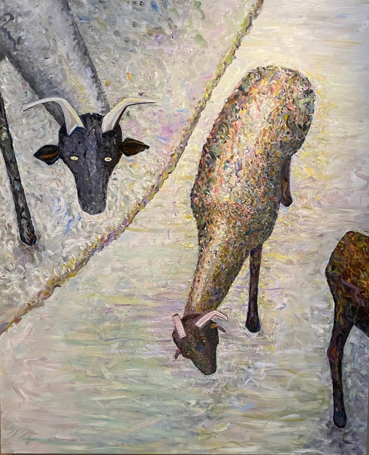 Karen Wilberding Diefenbach, San Macario #1, Three Pecore, 2023