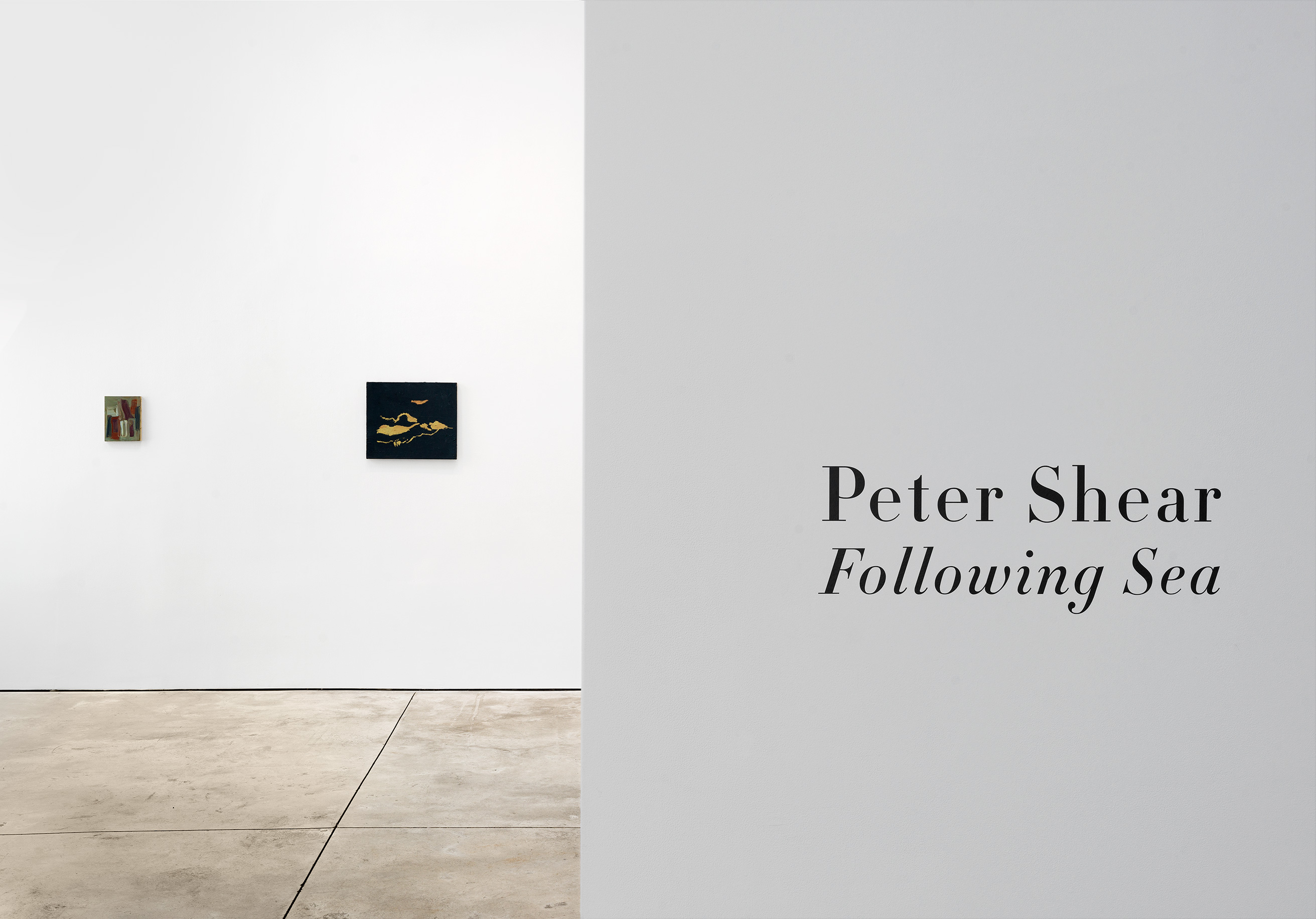 Installation image for Peter Shear: Following Sea, at Cheim & Read