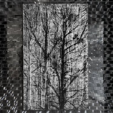 Almine Rech