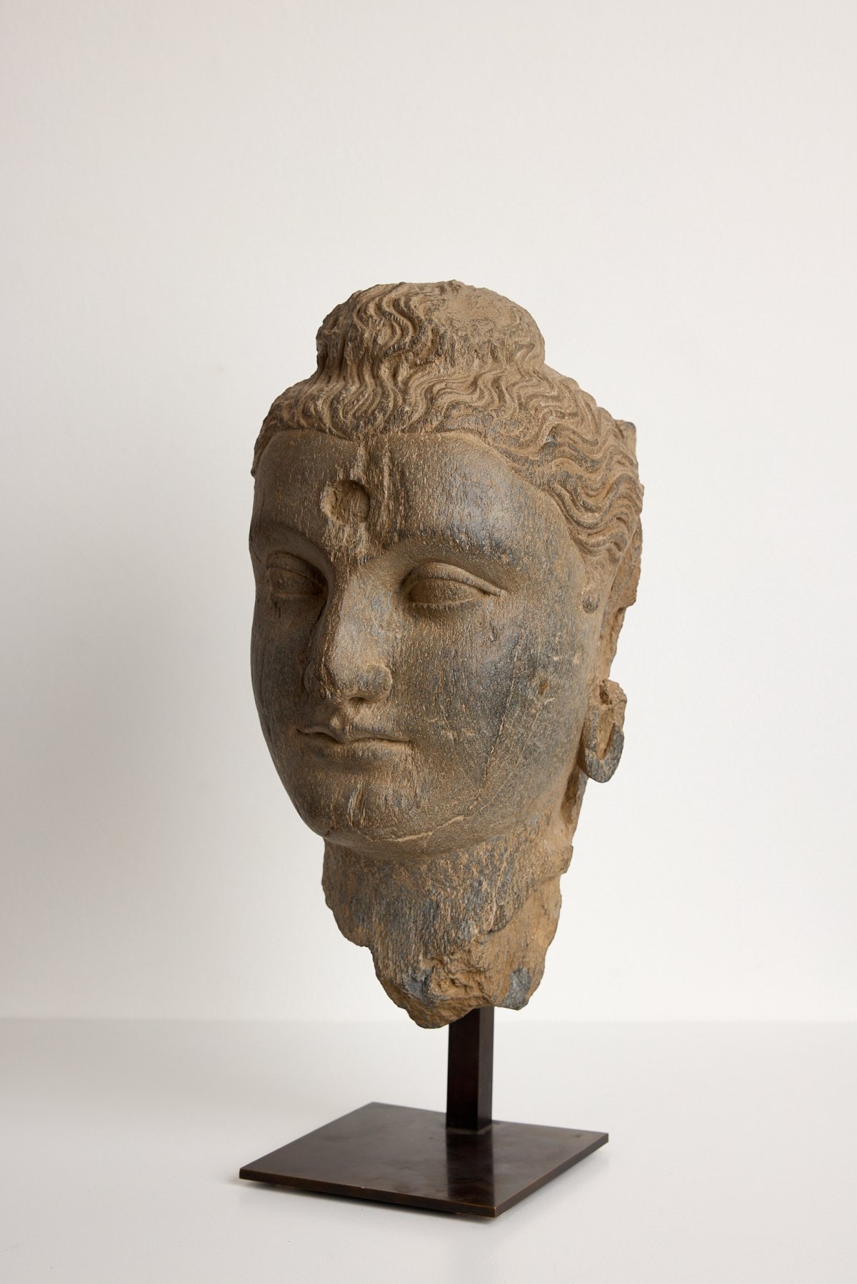 Gandra head of Buddha grey  schist, 3rd or 4th century