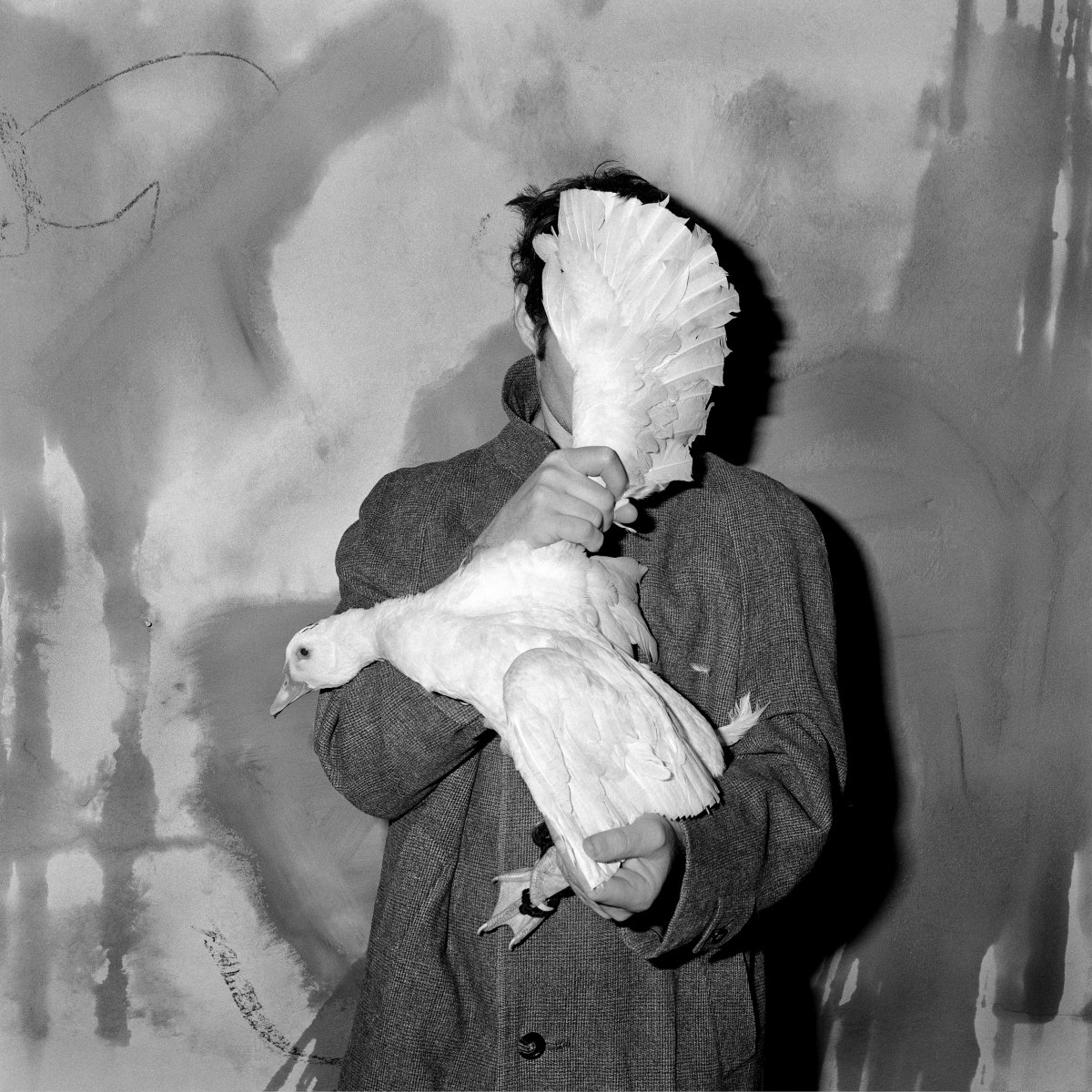 Roger Ballen, Blinded, 2005