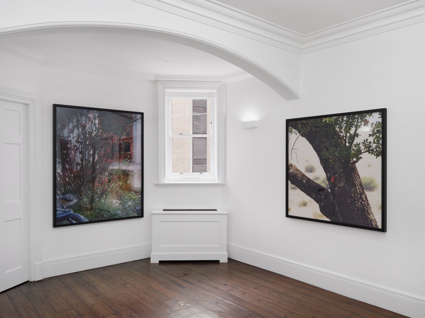 Installation image for Jean-Luc Mylayne: Mirror, at Sprüth Magers