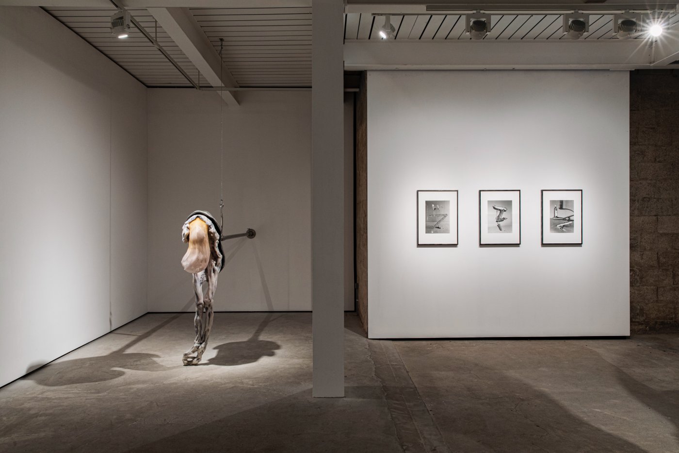 Installation image for Support Structures, at Gathering