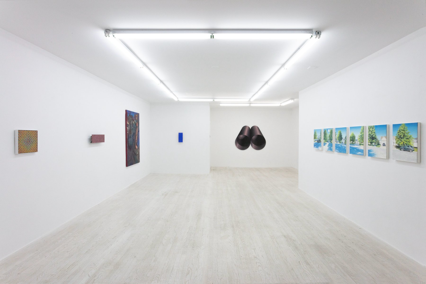 Image for Visible World, at Halsey McKay Gallery