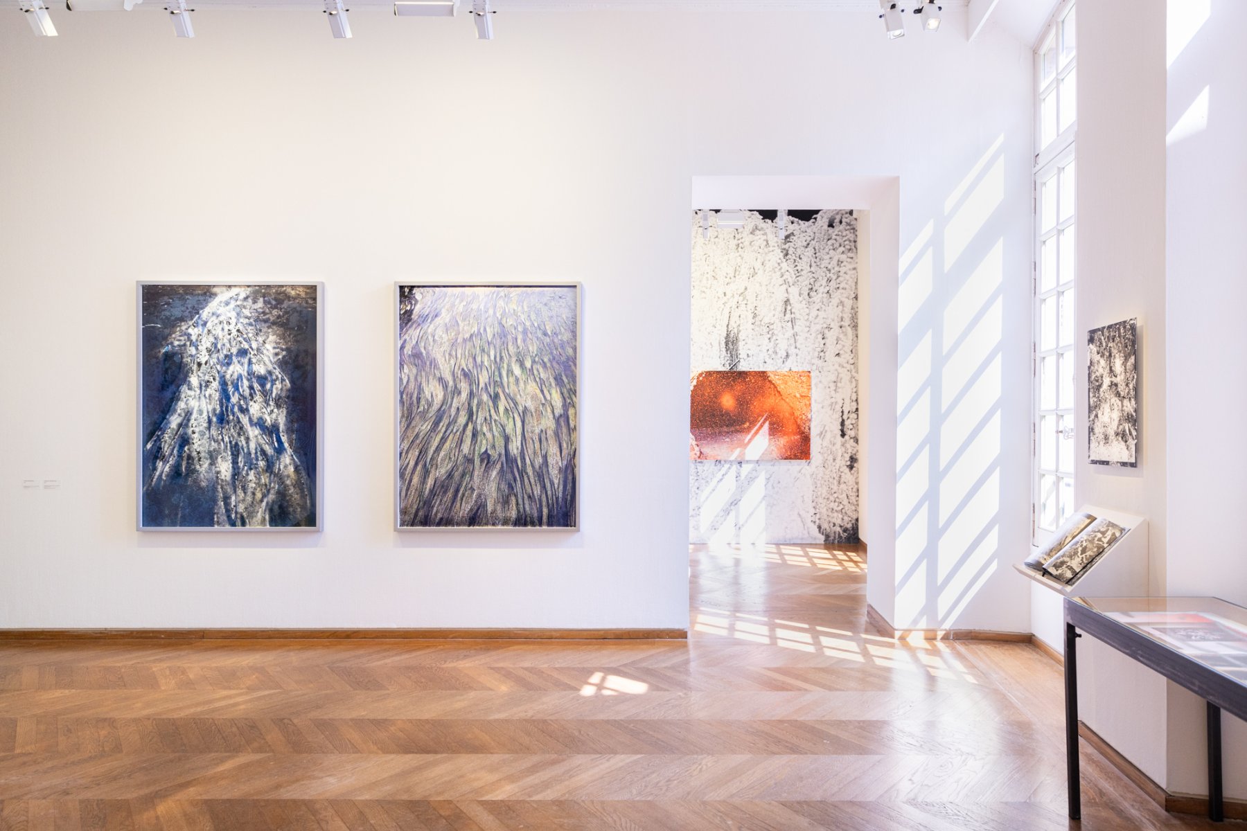 Installation image for Maya Rochat — Poetry of the Earth, at MEP - Maison Européenne de la Photographie