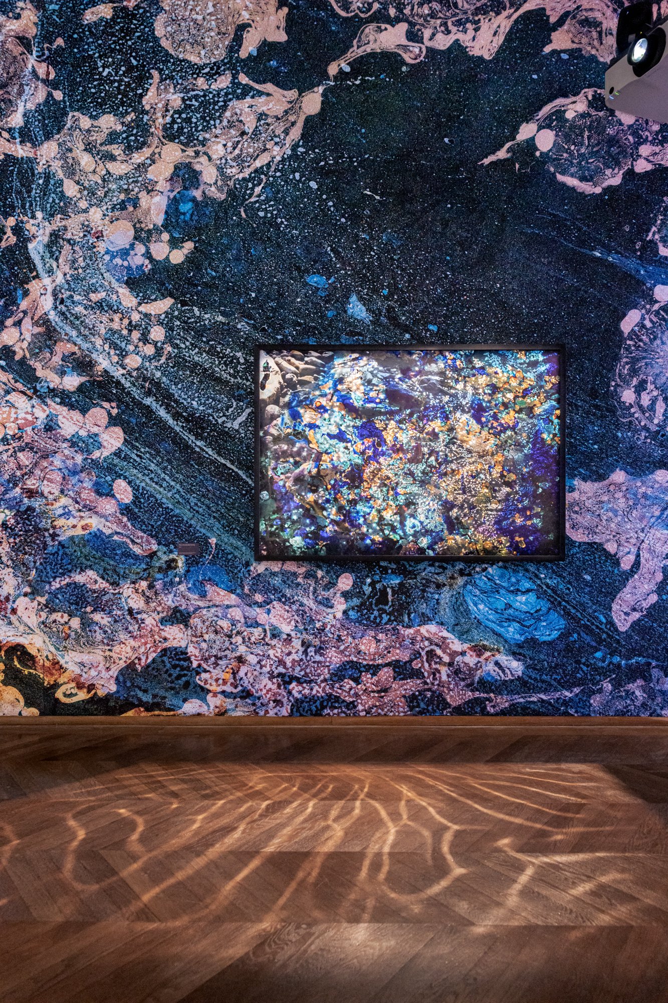 Installation image for Maya Rochat — Poetry of the Earth, at MEP - Maison Européenne de la Photographie