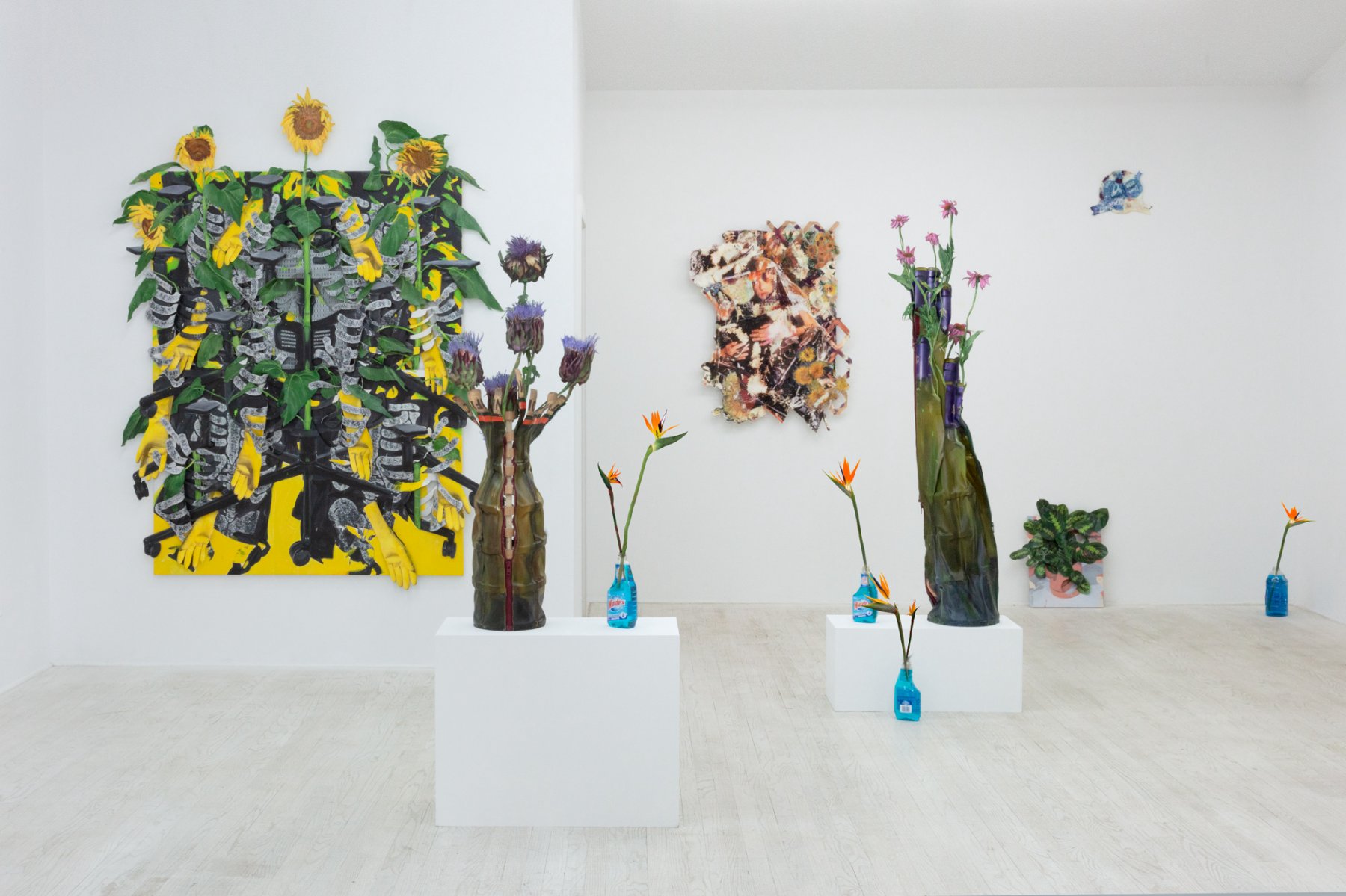 Image for David Kennedy Cutler & Monsieur Zohore: Hedge, at Halsey McKay Gallery