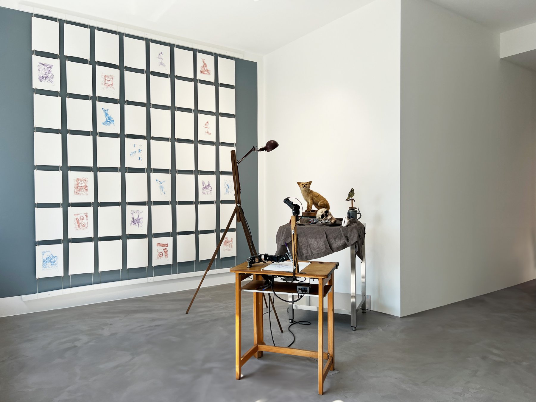 PULPO GALLERY