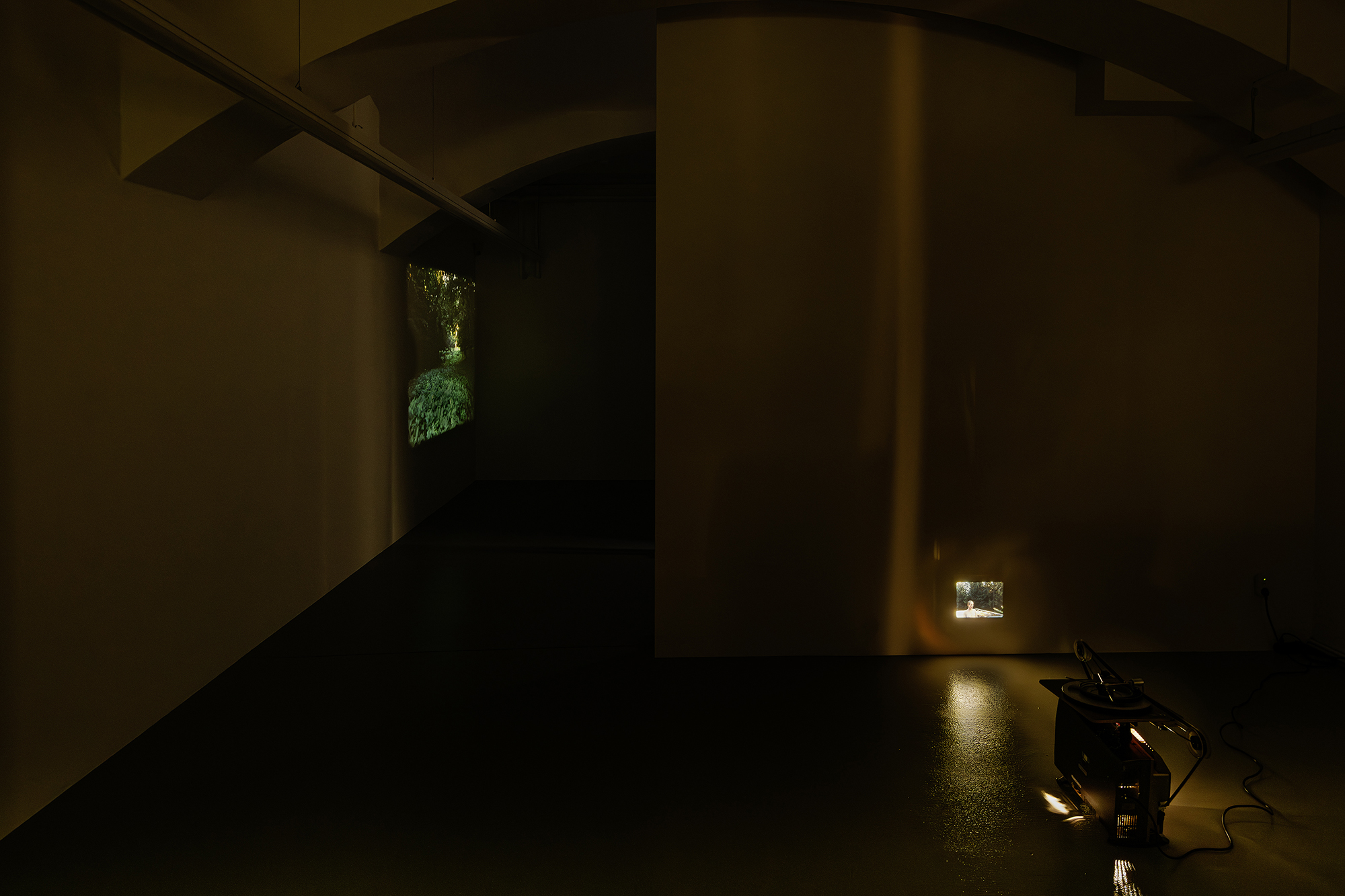 Installation image for Antoinette Zwirchmayr: In the stranglehold of ivy, at Galerie Eva Presenhuber