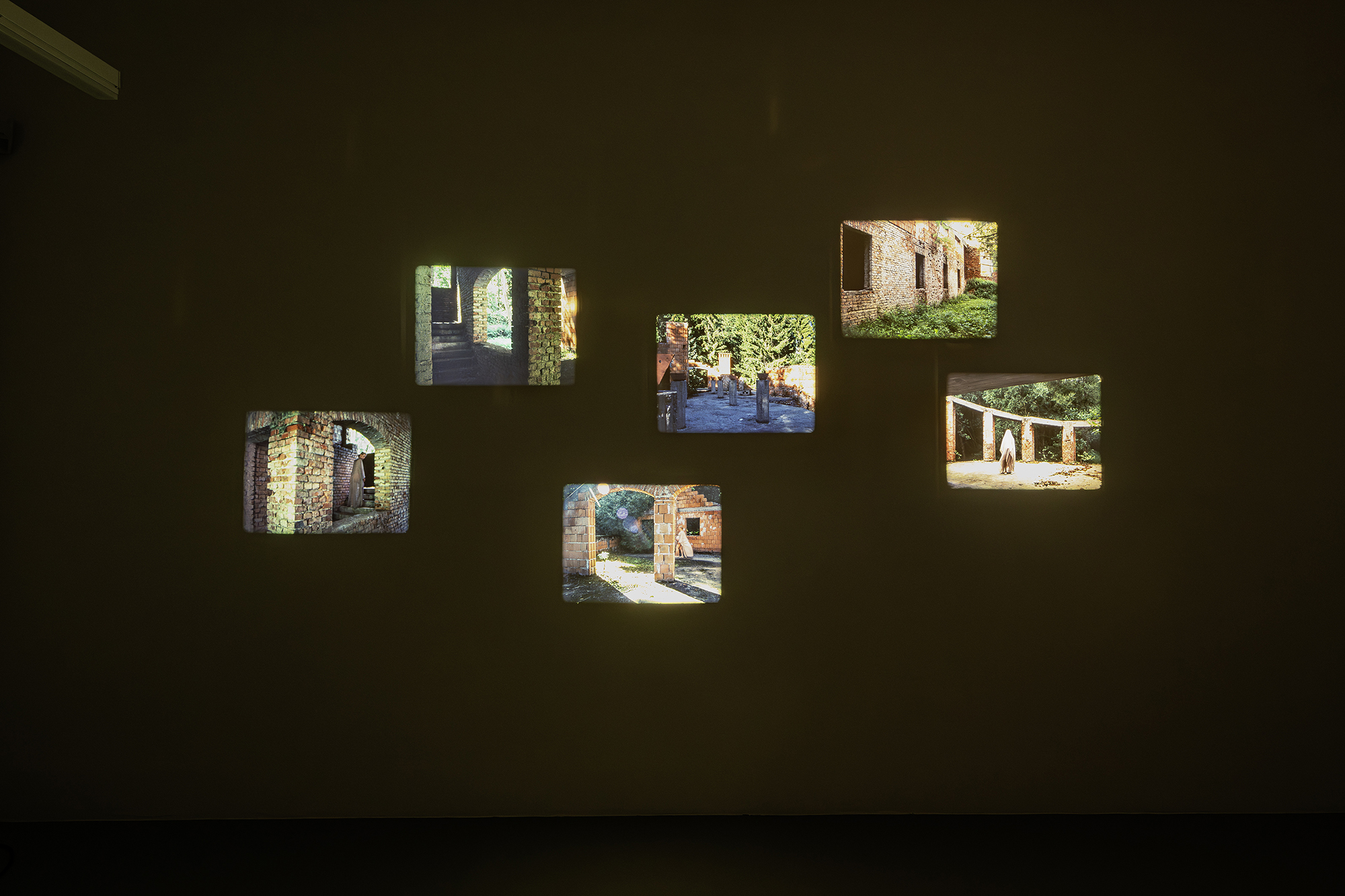 Installation image for Antoinette Zwirchmayr: In the stranglehold of ivy, at Galerie Eva Presenhuber