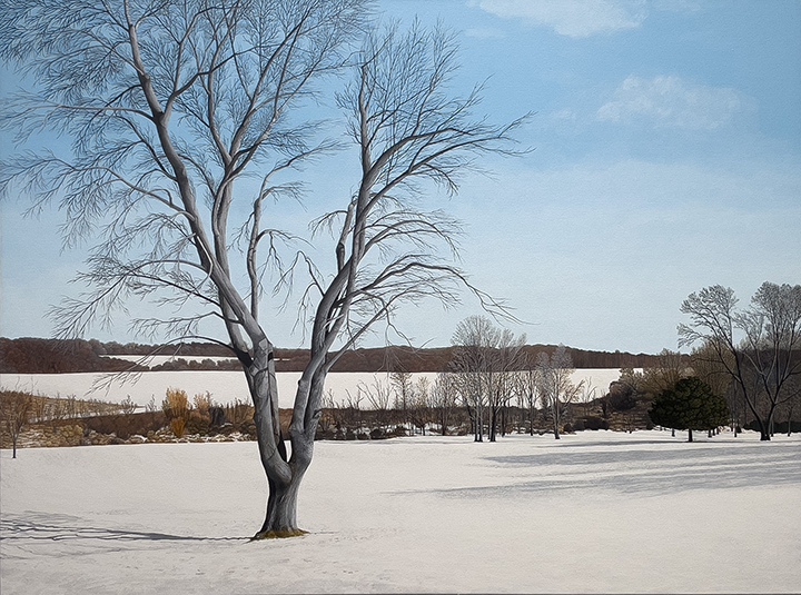 Anita Mazzucca, Long Shadows on the Snow, 2023