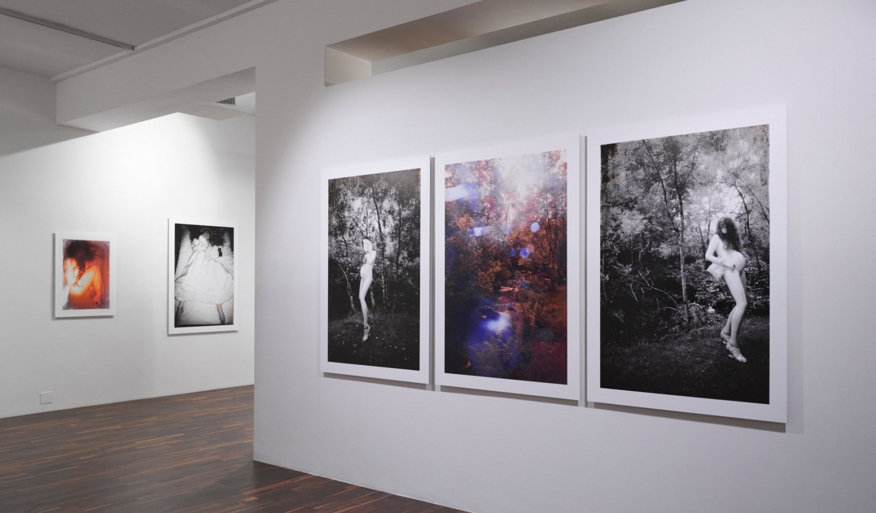 Christophe Guye Galerie
