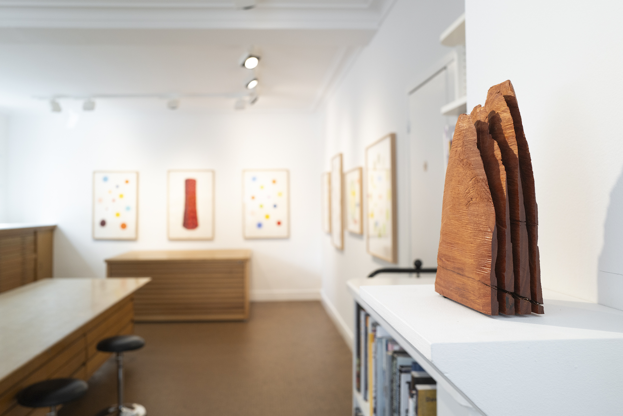 Installation image for David Nash - Colours and Columns, at Galerie Lelong & Co.