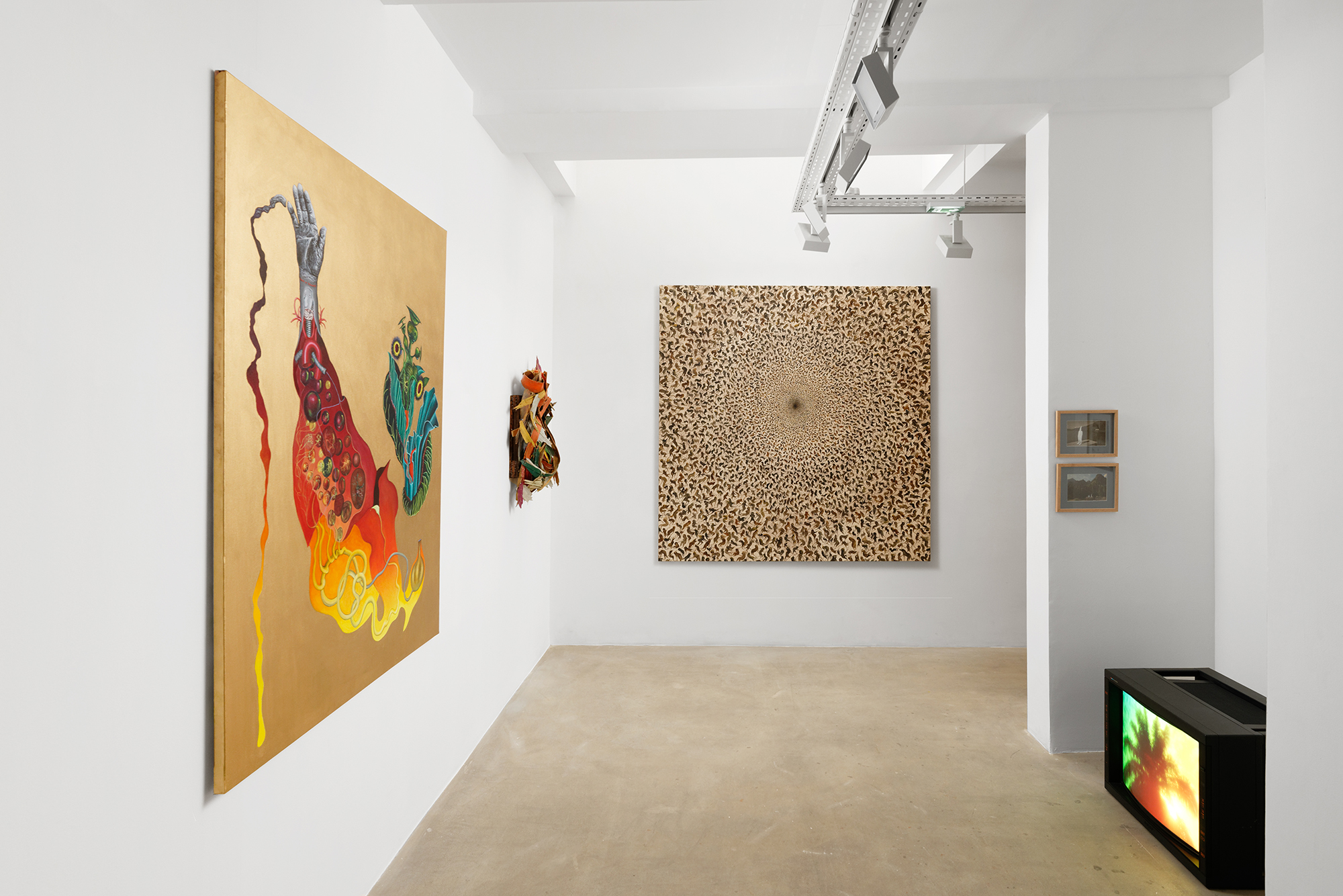 Installation image for Always the Sun, at Galerie Georges-Philippe & Nathalie Vallois