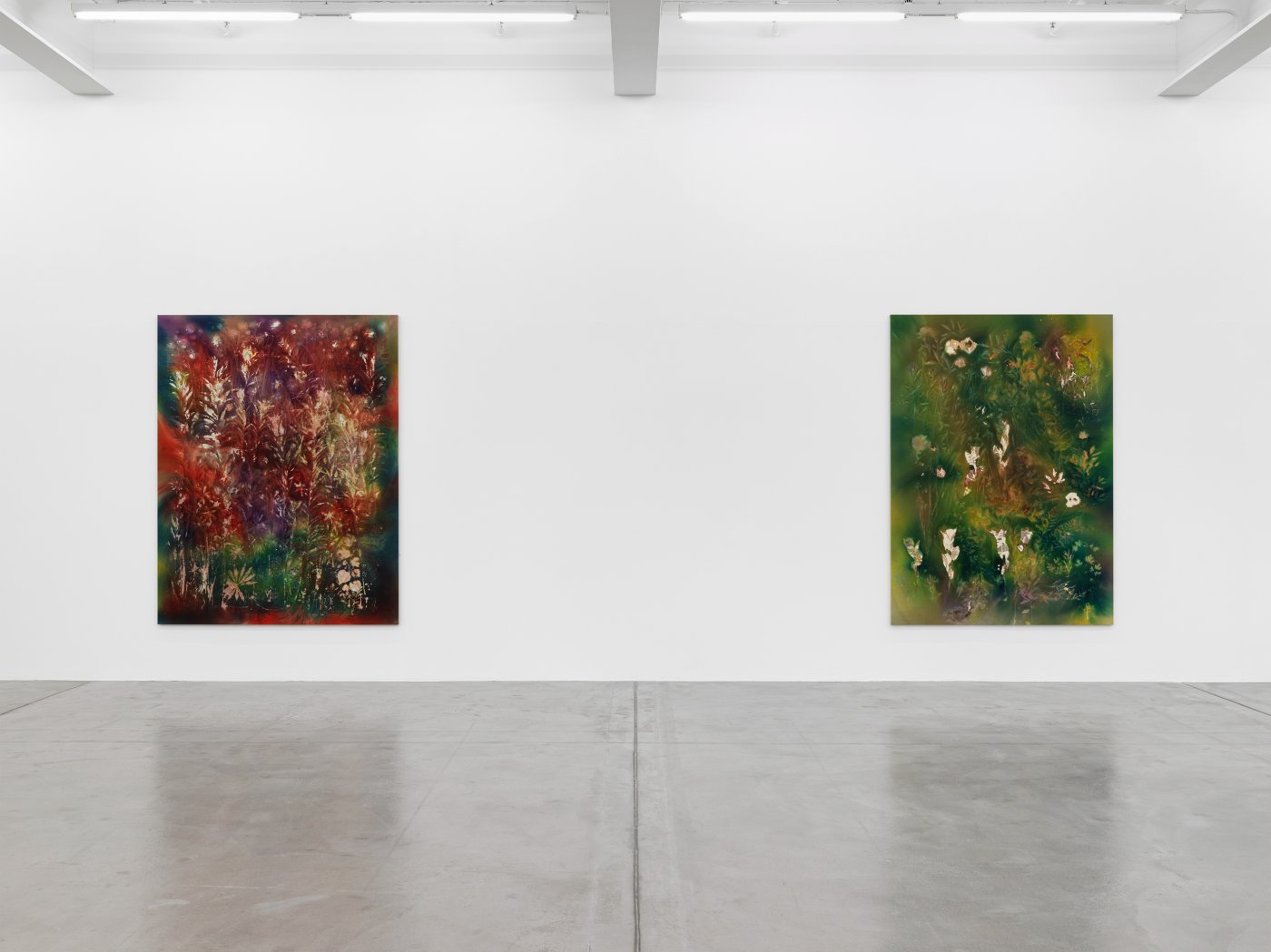 Installation image for Sam Falls, at Galerie Eva Presenhuber