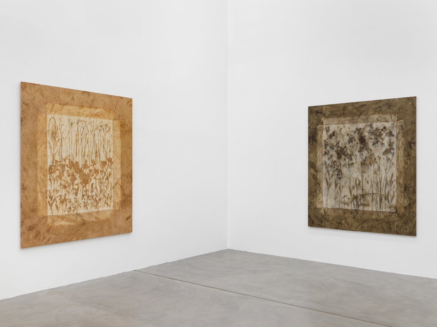 Installation image for Sam Falls, at Galerie Eva Presenhuber