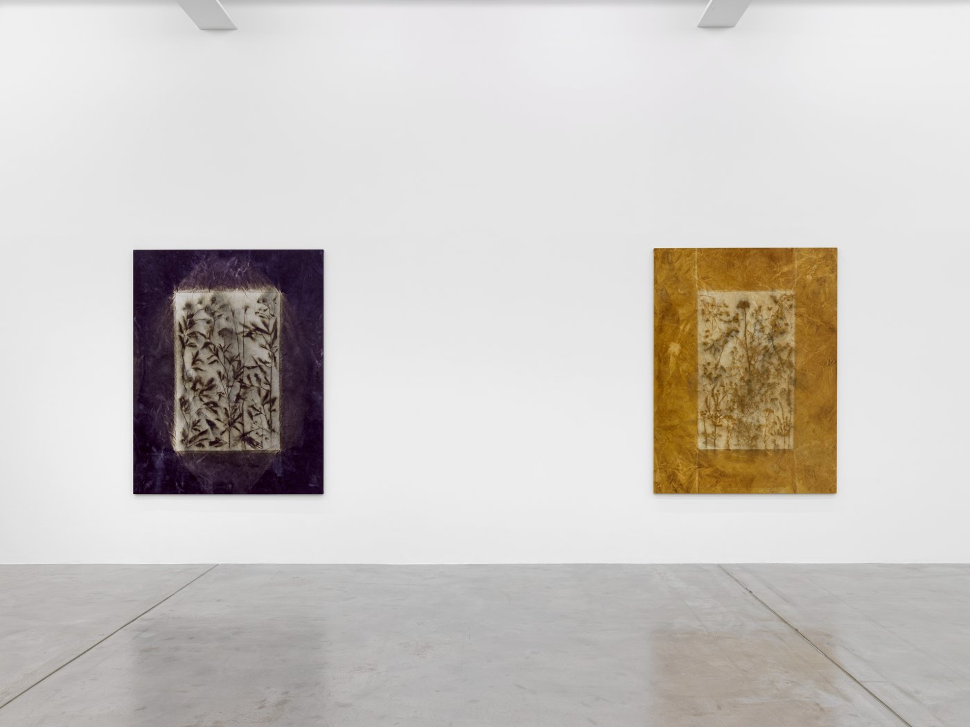 Installation image for Sam Falls, at Galerie Eva Presenhuber