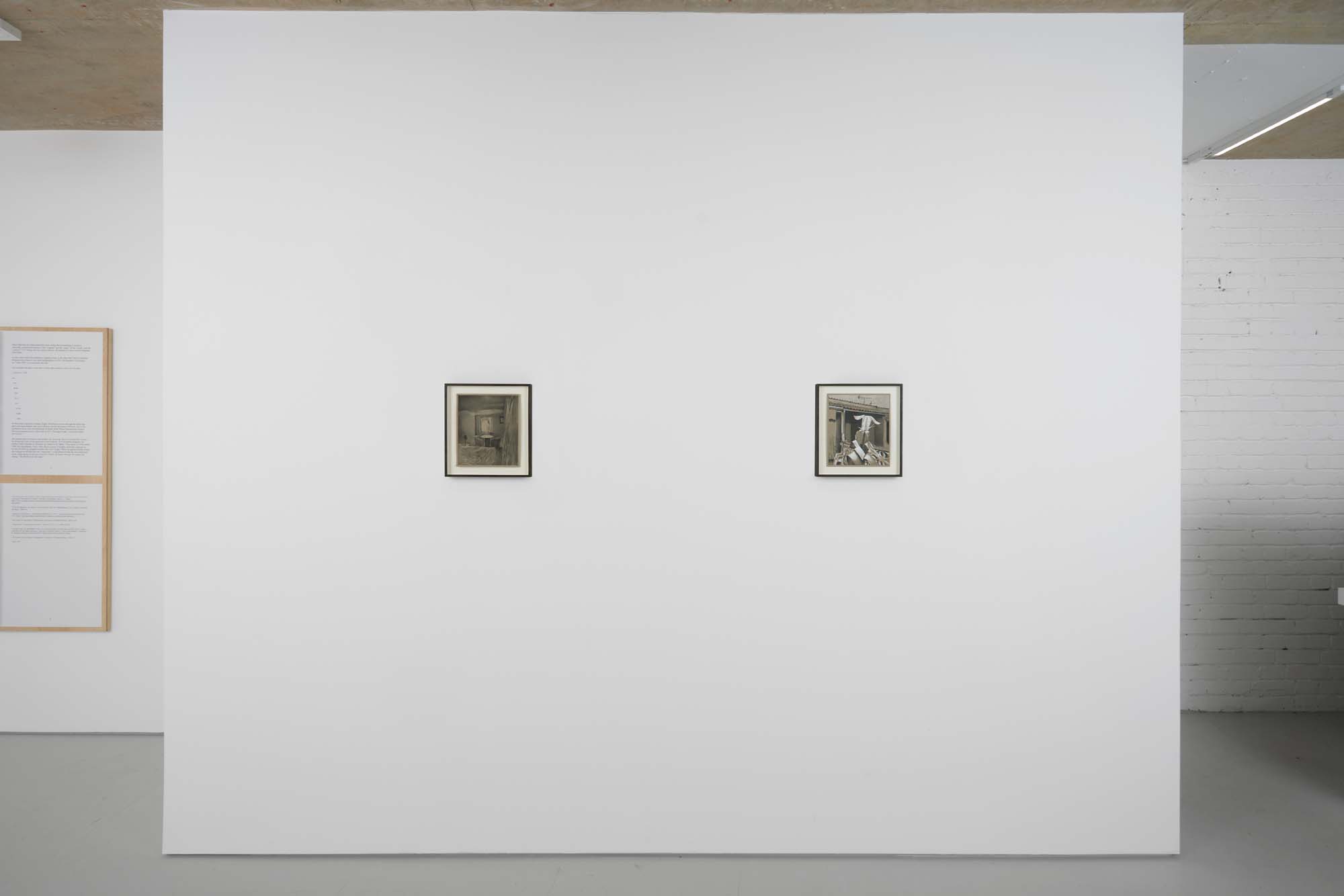 Installation image for Xavier Robles de Medina: I will go away into the wild wood, and never come home again, at Alice Amati
