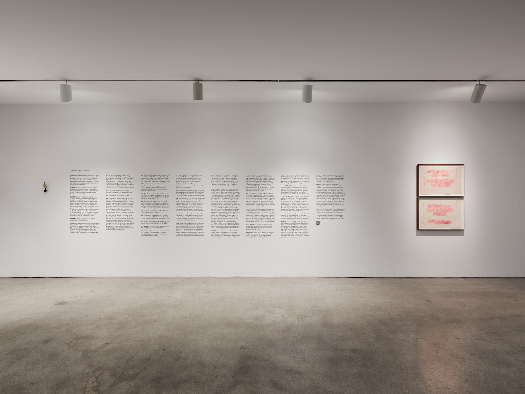 Installation image for Laura Anderson Barbata: Singing Leaf, at Marlborough