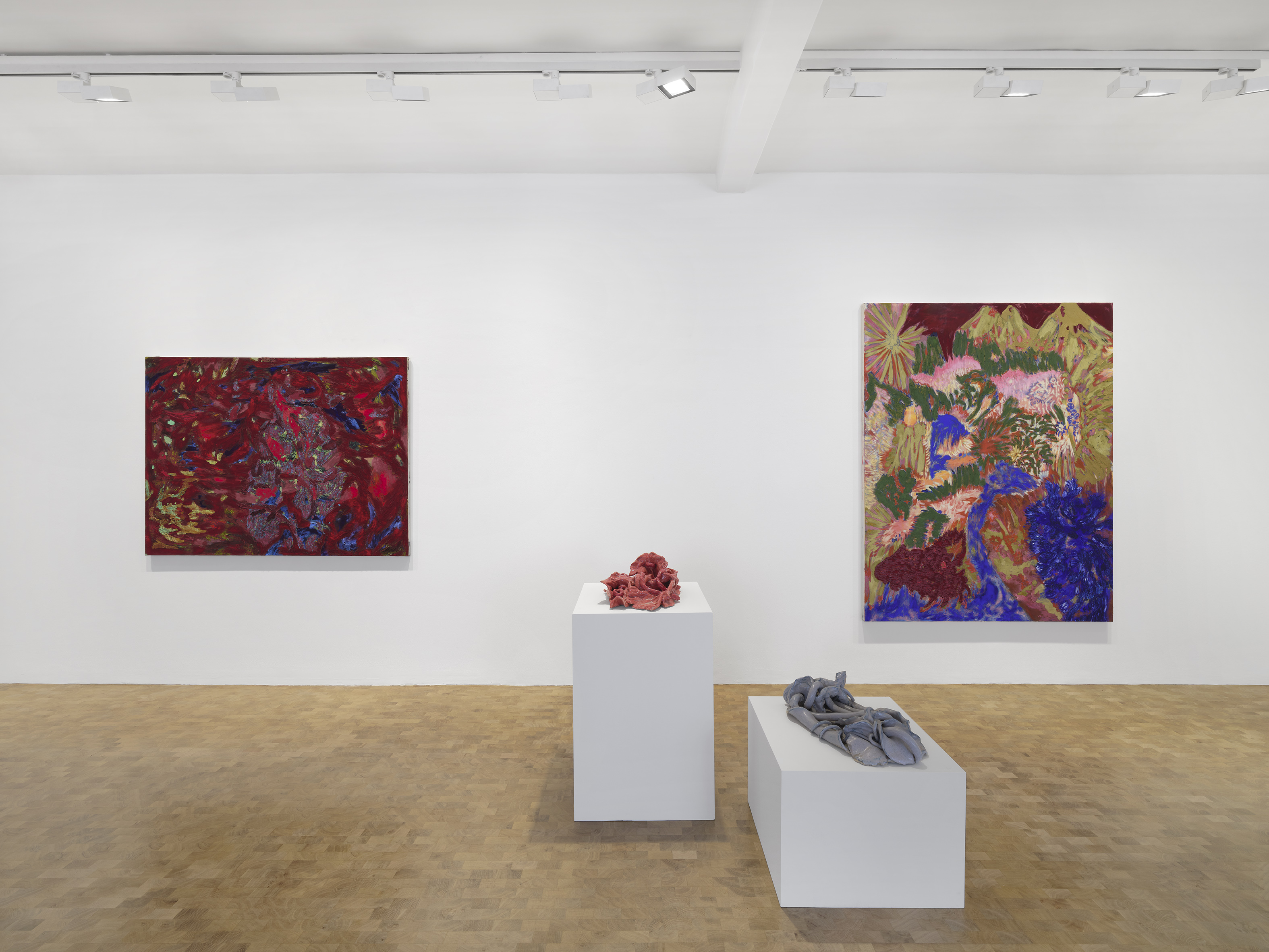 Installation image for Sophia Loeb: Todos os Seres são de Todos os Seres (All Beings are of All Beings), at Pippy Houldsworth Gallery