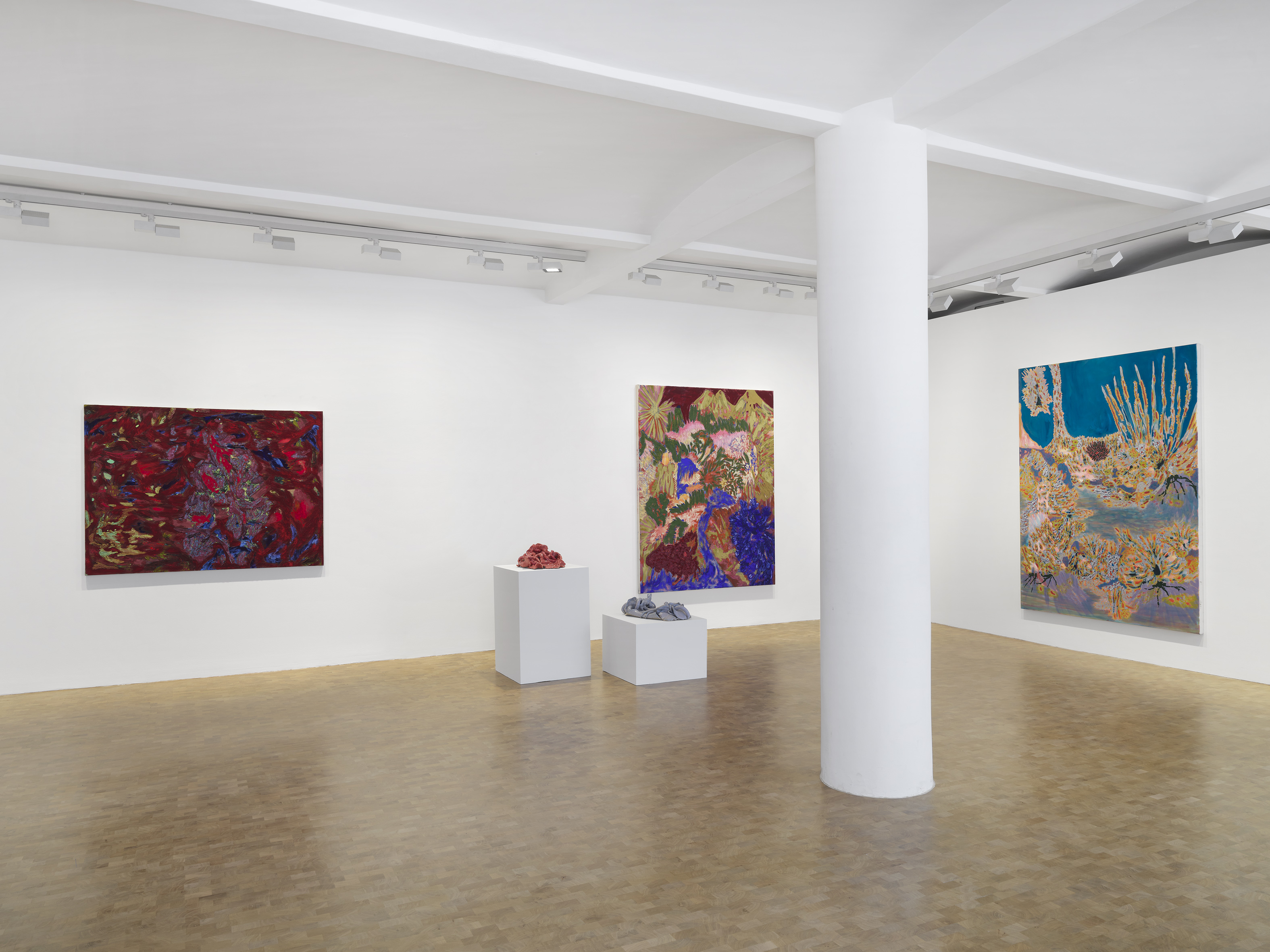 Installation image for Sophia Loeb: Todos os Seres são de Todos os Seres (All Beings are of All Beings), at Pippy Houldsworth Gallery