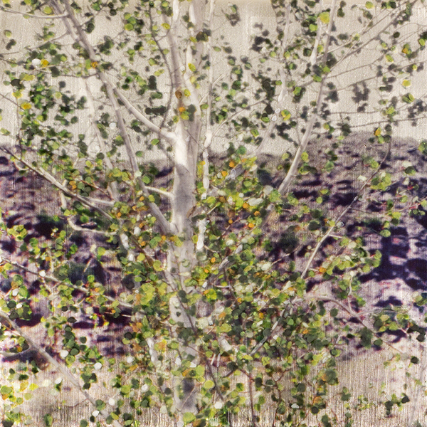Susan Goldsmith, A Summer's Call, 2022