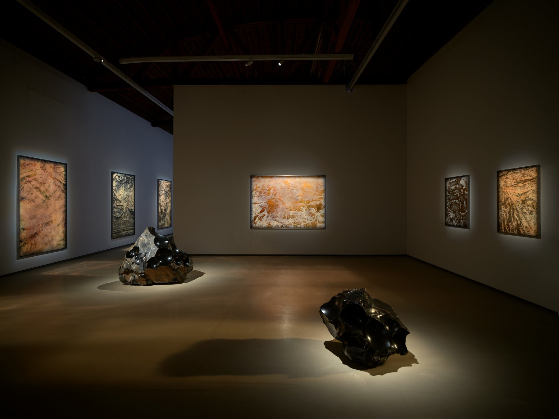 Installation image for Julian Charrière: Buried Sunshine, at Sean Kelly Gallery