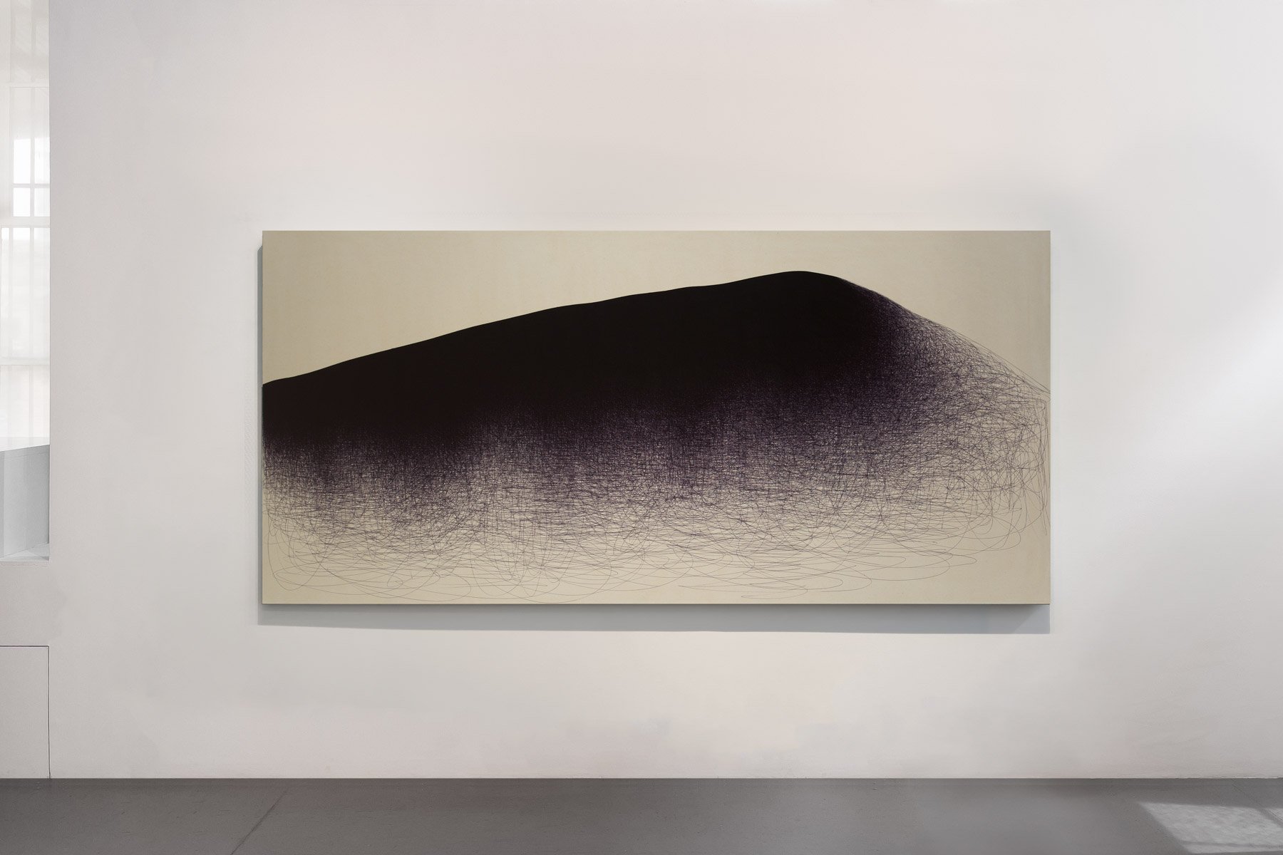 Installation image for IL LEE: Drawing Nature’s Vital Force, at Art Projects International