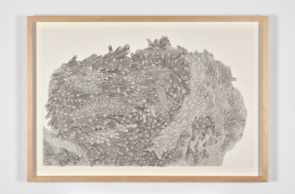 Delcy Morelos, Untitled, 2020 