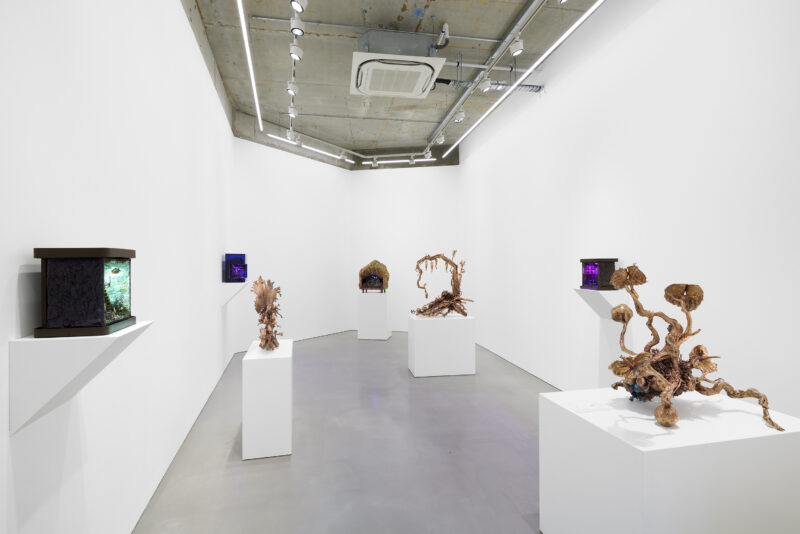 Image for Max Hooper Schneider: Twilight at the Earth’s Crust, at Maureen Paley