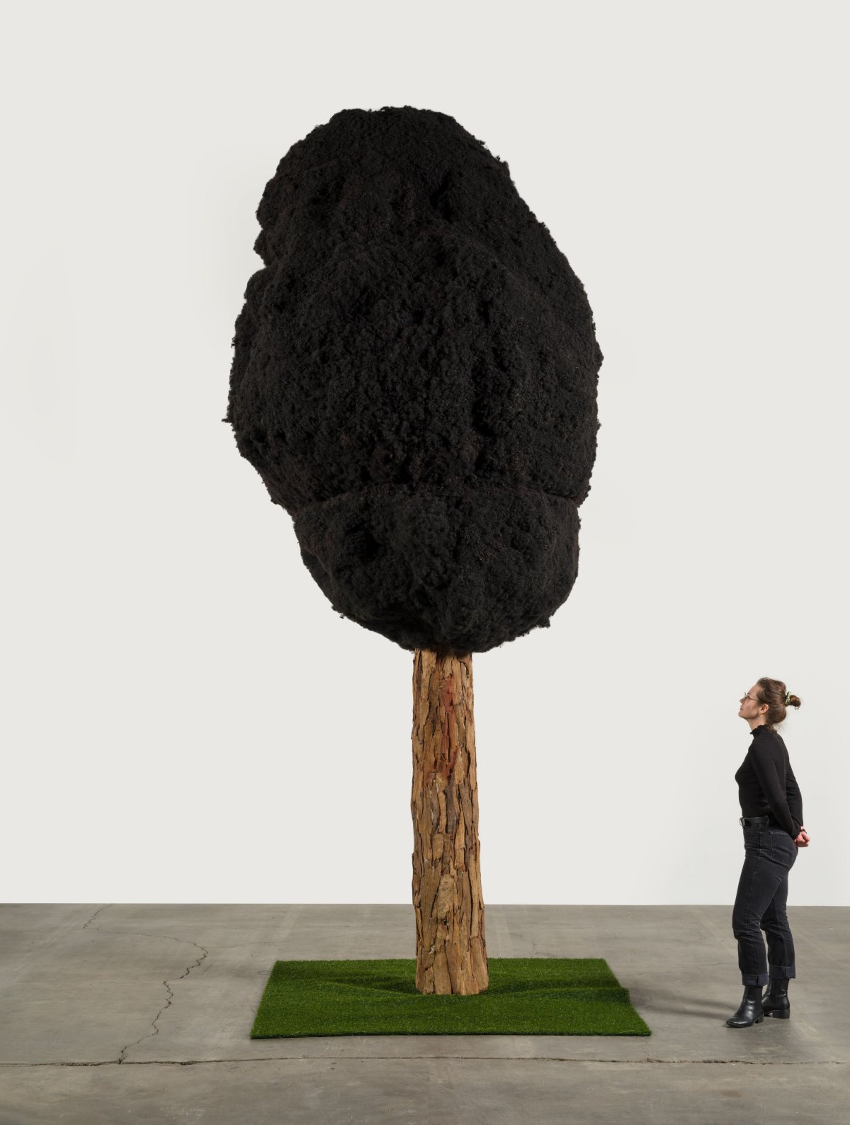 Henry Taylor, Henry Taylor & Henry Taylor, One tree per family, 2023 