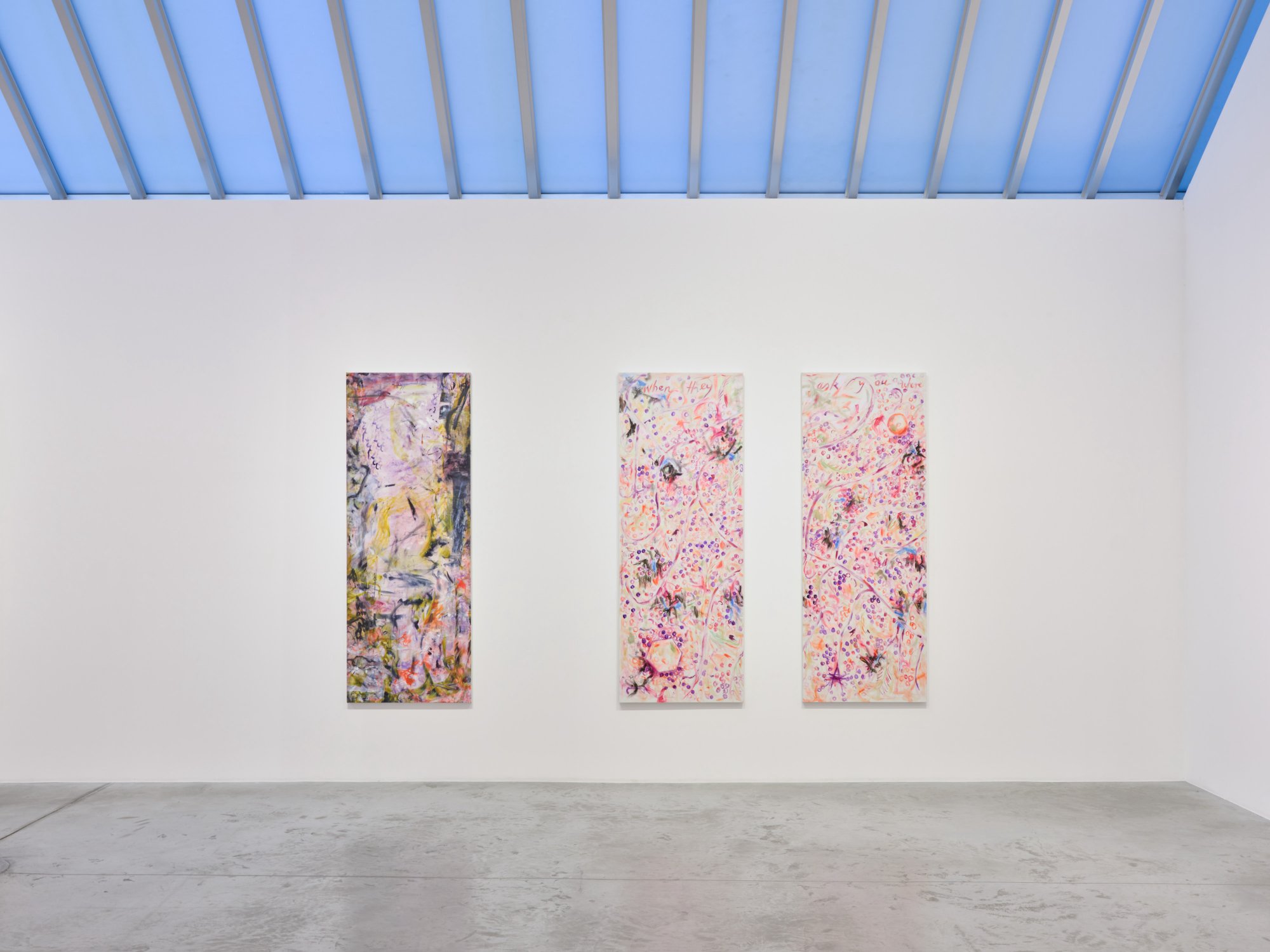 Installation image for Cecily Brown, Jutta Koether: Good Luck Spot, at Bortolami
