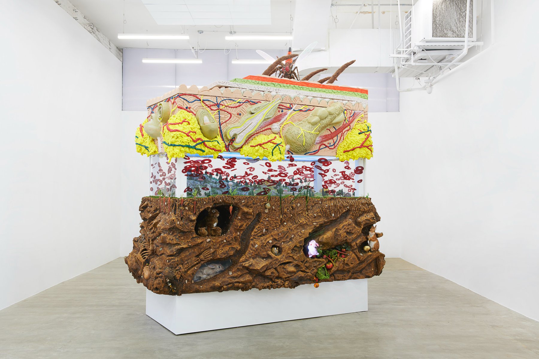 Installation image for Trey Abdella: Under the Skin, at David Lewis