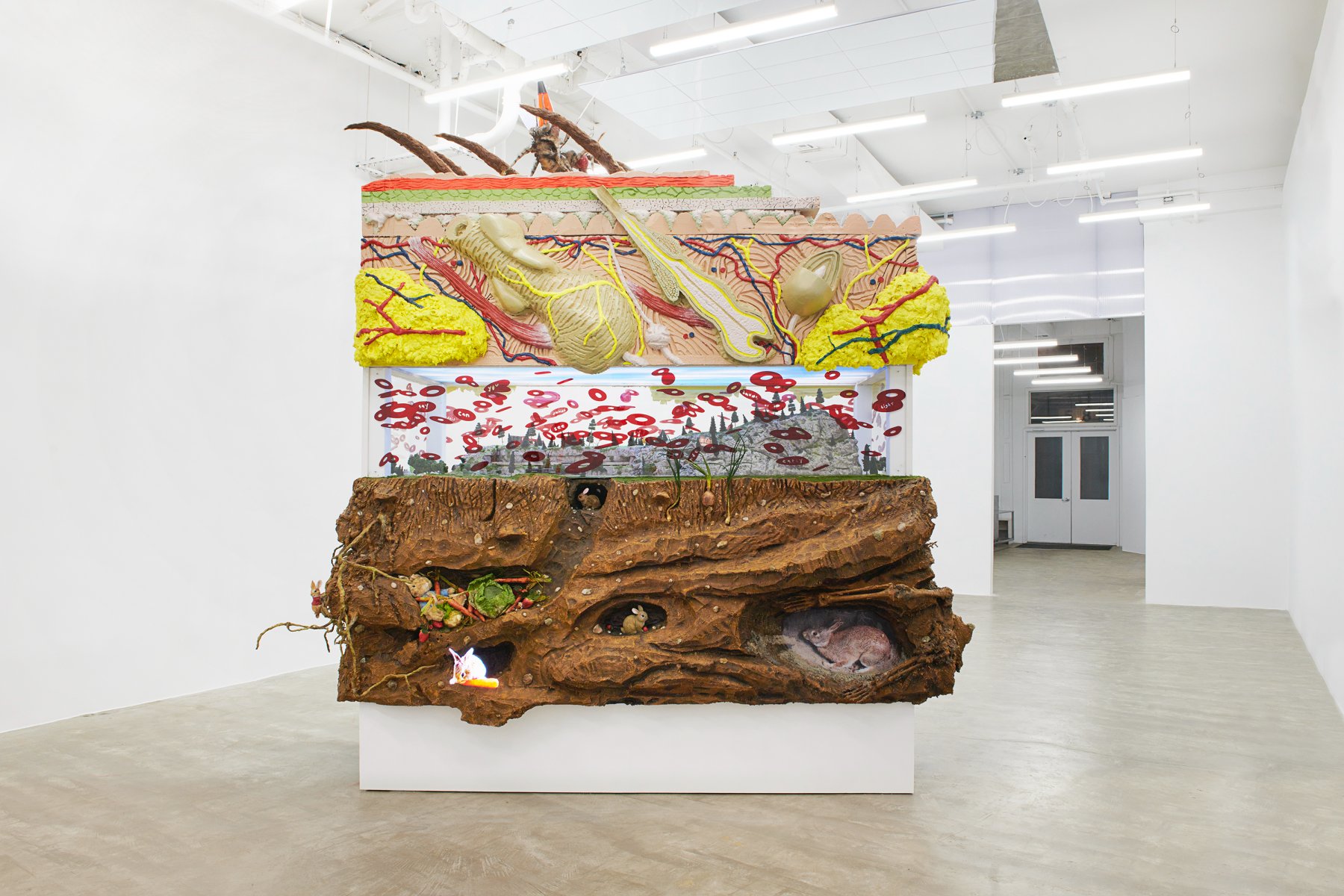 Installation image for Trey Abdella: Under the Skin, at David Lewis