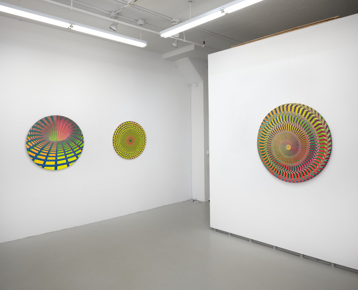 Installation image for Carl Anderson: Eye of the Storm: Circulos Vibrante, at David Richard Gallery